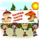 НАЗОВИ ЧАСТИ ГРИБА