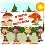 КАКОЙ? КАКАЯ? КАКИЕ?