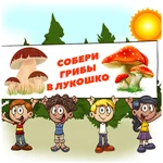 СОБЕРИ ГРИБЫ В ЛУКОШКО