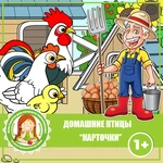 ДОМАШНИЕ ПТИЦЫ