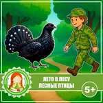 ПТИЦЫ В ЛЕСУ
