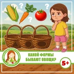 КАКОЙ ФОРМЫ БЫВАЮТ ОВОЩИ?